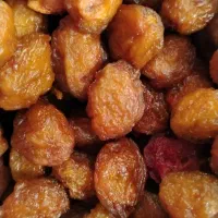 آلو آفتابی درشت