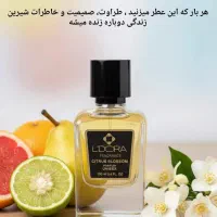 شامپو ضد شوره|آرایشی، بهداشتی، درمانی|تهران, دبستان|دیوار