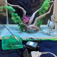 فروش آکواریوم