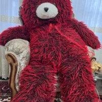 شاسخین قرمز