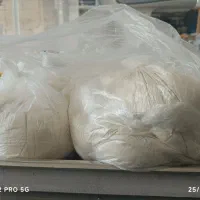 فروش گرده نخل