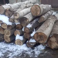 برش وقطع درخت خرید چوب سقفی وهرنوع چوب درختی