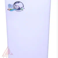 لباسشویی تمام اتوماتیک 6کیلویی فریدولین مدل SWF60A