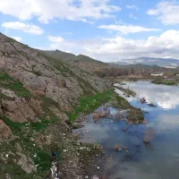 تراپیست