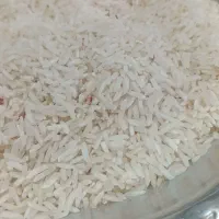 برنج طارم|خوردنی و آشامیدنی|ایلام, |دیوار