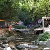 طبیعت گردی