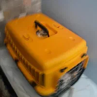 یک عدد سبد نگهداری سگ