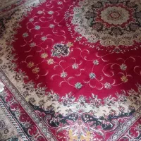 فرش ۱۲ متری|فرش|همدان, |دیوار