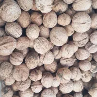 محصولات کشاورزی