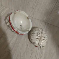 ساعت|ساعت دیواری و تزئینی|جوانرود, |دیوار