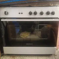 گاز فرد دار بوست