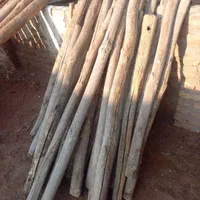 خریدچوب وکنده درخت وچوب سقفی و ریشه|خدمات باغبانی و درختکاری|نیشابور, باغرود|دیوار