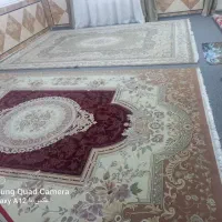 فروش دو عدد قالی دوازده متری