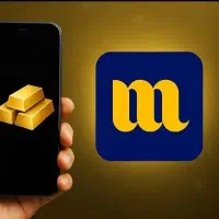 با میلی درآمد کسب کن