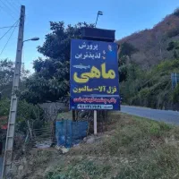 نیروی کار در پرورش ماهی گیلان رحیم آباد گرمابدشت