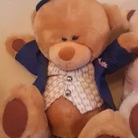 دوتا خرس خارجی پولیشی