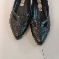 کفش مجلسی