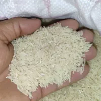 برنج طارم