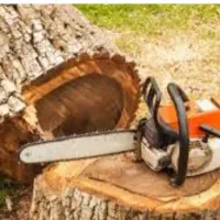 خریدارچوب وبرش درخت|خدمات باغبانی و درختکاری|شیراز, قصرالدشت|دیوار