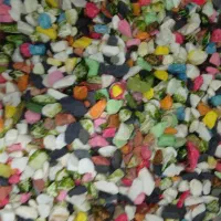 ماهی با آکواریوم و لوازم|ماهی|چهاردانگه (تهران), |دیوار