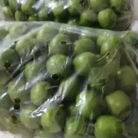 الوچه درجه یک