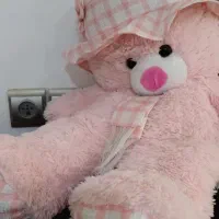 خرس پشم خارجی