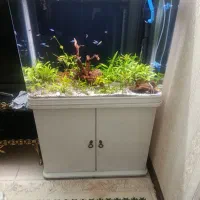 آکواریوم مدل K800