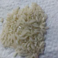 برنج ایرانی برنج دورود