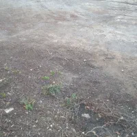 فروش زمین خالی جغین شمالی