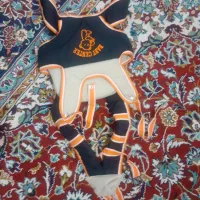 کالسکه. . کریر.. اسکیت و|کالسکه و لوازم جانبی|تربت‌حیدریه, باغ ملی|دیوار