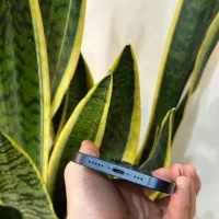 iPhone 13 256GB|موبایل|تهران, نیروی هوایی (پیروزی)|دیوار