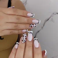 کاشت اولیه فقط ۴۰۰تومن|خدمات زیبایی و سلامت|شیراز, کوشک میدان|دیوار