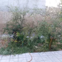 فروش خانه