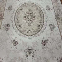 فرش ۶و ۹متری|فرش|رشت, جانبازان|دیوار