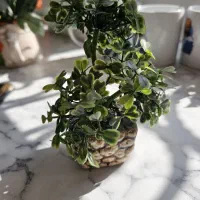 گلدان های کوچک و ماگ|گل مصنوعی|اراک, |دیوار