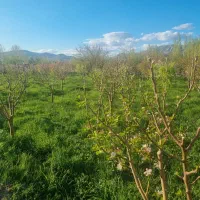 قطعه-ویلایی-در-سعیداباد