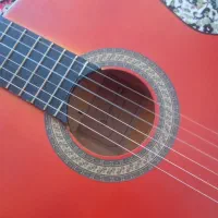 گیتار نو|گیتار، بیس، امپلیفایر|فلاورجان, |دیوار