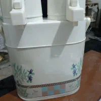 یک عدد فلاکس دوقلو ژاپنی در حد نو آنتیک