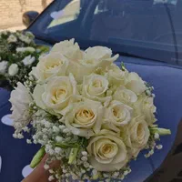 تشریفات عروسی، گل‌آرایی و بادکنک‌آرایی مراسم|خدمات پذیرایی، مراسم|یزد, |دیوار