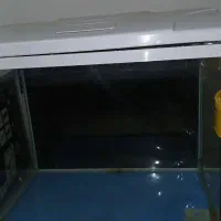 آکواریوم اکوا سالم درحد