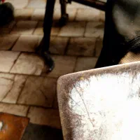 ماله نازک|ابزارآلات|قم, انسجام|دیوار