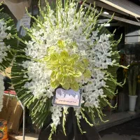 تاج گل فوری مناسبتی|گل و گیاه طبیعی|ری, بازار گل خاوران|دیوار