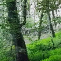 زمین-باغی-نقلی