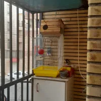 قفس پرنده|لوازم جانبی حیوانات|فردیس, ثابتی|دیوار