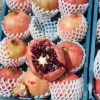 انار درجه شیراز