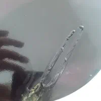 دو عدد گیتار یکعدد ارگ|گیتار، بیس، امپلیفایر|صدرا-فارس, فاز ۱|دیوار