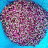فروش غنچه و گل پر محمدی درجه یک
