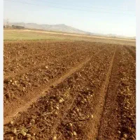 زمین-کشاورزی