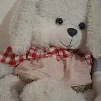 عروسک خرگوش و خرس در حد|اسباب‌بازی بچه|زنجان, |دیوار