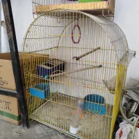 قفس پرنده|لوازم جانبی حیوانات|اندیشه, اندیشه فاز ۱|دیوار